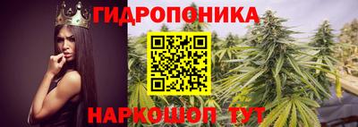 ALPHA PVP Жуковский
