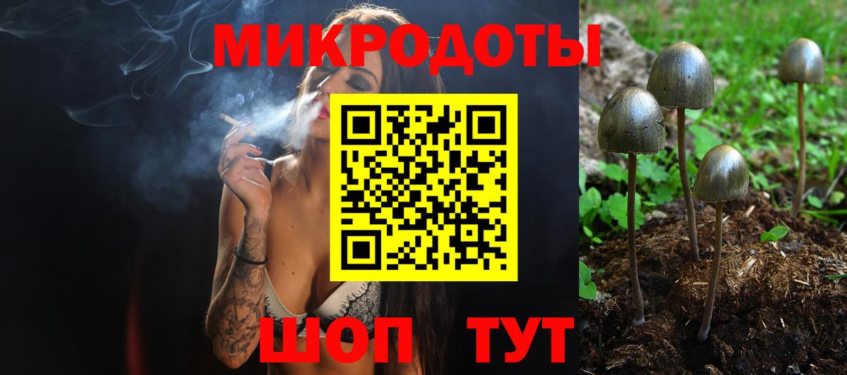 Псилоцибиновые грибы Psilocybine cubensis Зеленодольск