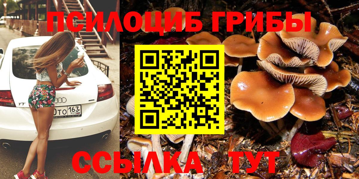 цены наркотик  Вход с VPN  Галлюциногенные грибы Magic Shrooms  Зеленодольск  Псилоцибиновые грибы GOLDEN TEACHER 